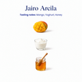 Jairo Arcila speciality coffee tasting notes: mango, yoghurt, honey