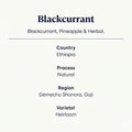 Blackcurrant Speciality Coffee Features