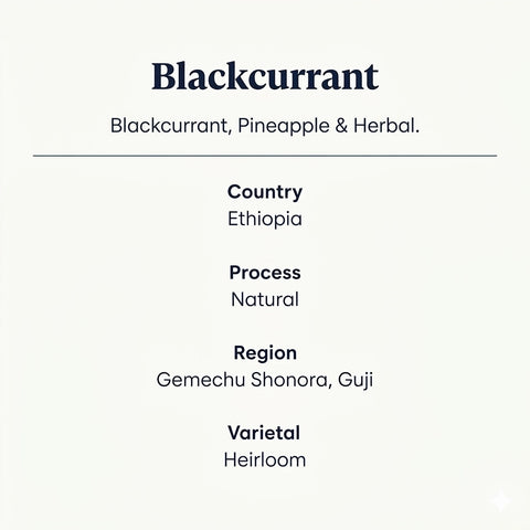 Blackcurrant Speciality Coffee Features