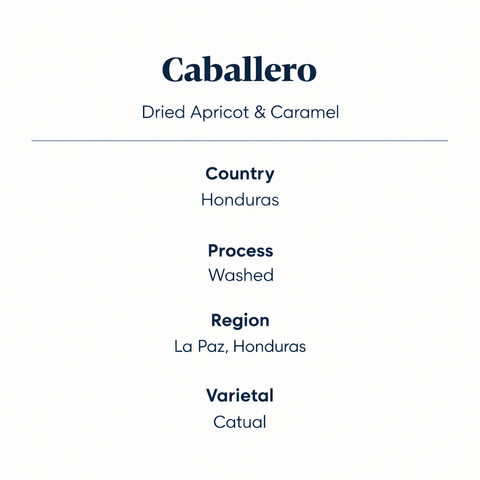 Caballero speciality coffee features