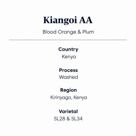 Kiangoi AA - Kenya