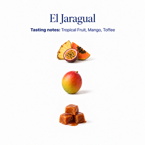 El Jaragual speciality coffee tasting notes: tropical fruit, mango, toffee
