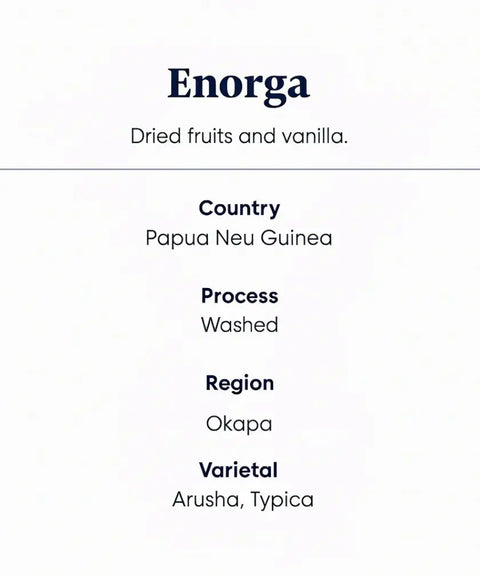 Enorga_Papua_New_Guinea__specialty_coffee_information