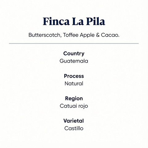 Finca La Pila coffee features