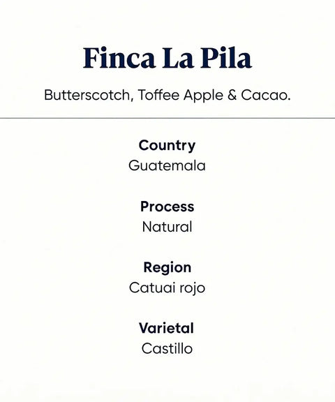 Finca_La_Pila_coffee_features