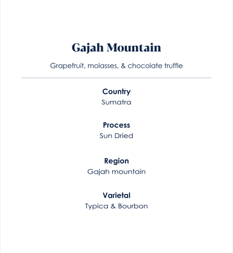 Gajah Mountain, Sumatra speciality coffee description