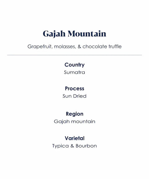 Gajah_Mountain_Sumatra_speciality_coffee_features
