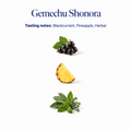 Gemechu Shonora speciality coffee tasting notes: blackcurrant, pineapple, herbal