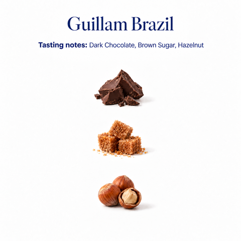 Guillam Brazil speciality coffee tasting notes: dark chocolate, brown sugar, hazelnut