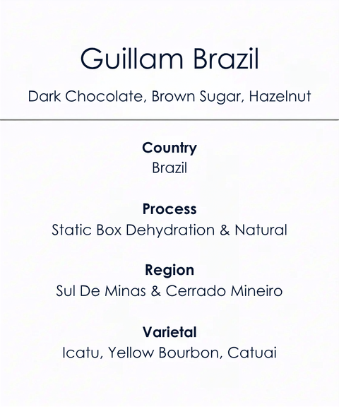 Guillam_Brazil_Speciality_Coffee_Information 