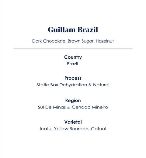 Guillam_Brazil_Specialty_Coffee_Information
