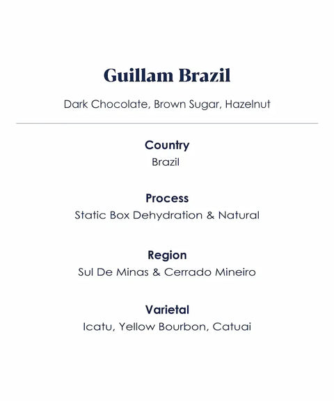Guillam_Brazil_Specialty_Coffee_Information 