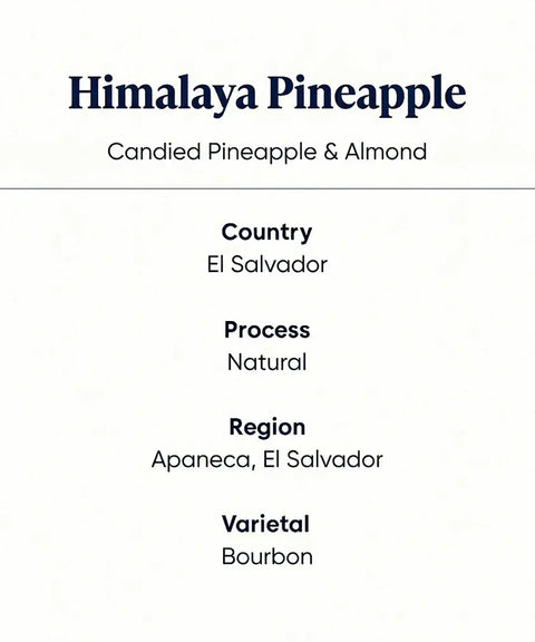 Himalaya_Pineapple_Coffee_Features