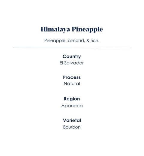 Himalaya Pineapple, El Salvador