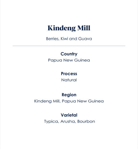 Order specialty Coffee beans sourced from Papua New Guinea, Kindeng Mill 