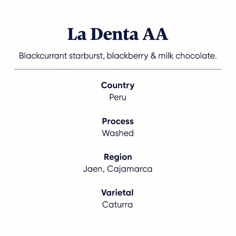 La_Denta_AA_coffee_info