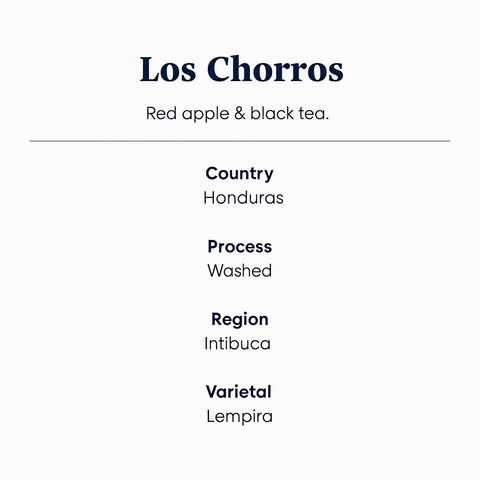 Los_Chorros_coffeee_Info