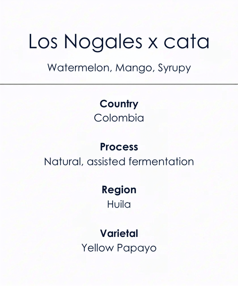 Los Nogales x cata_Speciality_Coffee Features