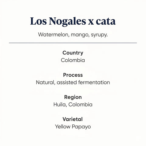 Los Nogales x cata_Specialty_Coffee Features