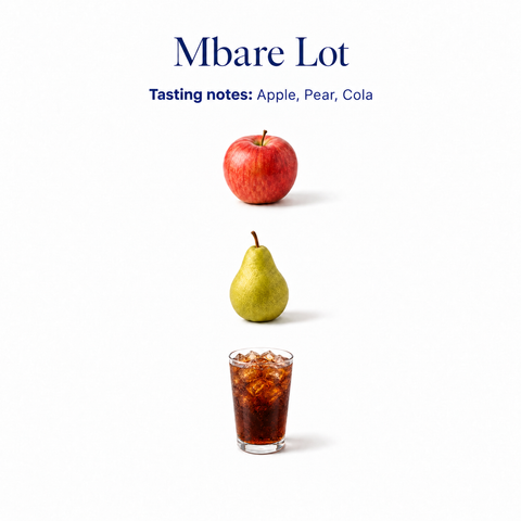 Mbare Lot 5 speciality coffee tasting notes: apple, pear, cola