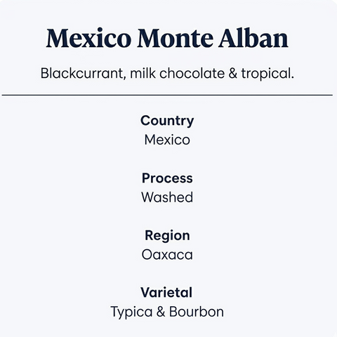 Mexico Monte Alban_Coffee_Features