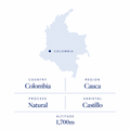 Popayán decaf speciality coffee origin: Cauca, Colombia, natural Castillo, 1,700m