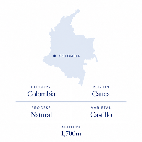Popayán decaf speciality coffee origin: Cauca, Colombia, natural Castillo, 1,700m
