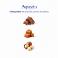 Popayán decaf speciality coffee tasting notes: milk chocolate, caramel, macadamias