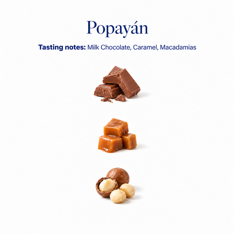 Popayán decaf speciality coffee tasting notes: milk chocolate, caramel, macadamias