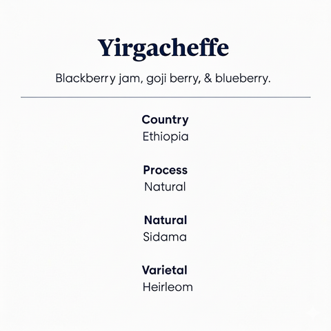 Yirgacheffe, Ethiopia_speciality coffee_ information