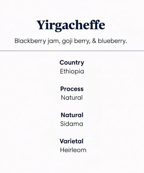 Yirgacheffe_Ethiopia_speciality_coffee__information