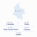 El Diviso speciality coffee origin: Huila, Colombia, double anaerobic washed Caturra, 1,800 m