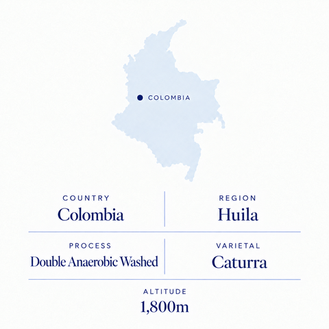 El Diviso speciality coffee origin: Huila, Colombia, double anaerobic washed Caturra, 1,800 m