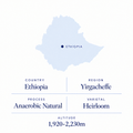 Halo Beriti speciality coffee origin: Yirgacheffe, Ethiopia, anaerobic natural heirloom, 1,920-2,230 m