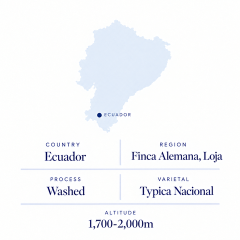 Finca Alemana speciality coffee origin: Loja, Ecuador, washed Typica Nacional, 1,700-2,000 m