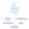 Finca Milán speciality coffee origin: Risaralda, Colombia, nitro-fermentation Caturra, 1,600-1,800 m