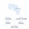 Aquiares Mariana speciality coffee origin: Turrialba, Costa Rica, washed Mariana, 1,000-1,400 m