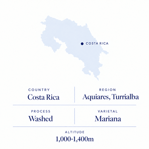 Aquiares Mariana speciality coffee origin: Turrialba, Costa Rica, washed Mariana, 1,000-1,400 m