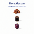 Finca Alemana speciality coffee tasting notes: pecan, molasses, plum