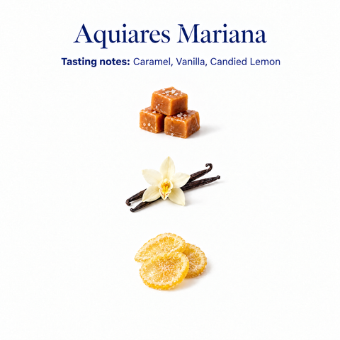 Aquiares Mariana speciality coffee tasting notes: caramel, vanilla, candied lemon