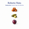 Roberto Mata speciality coffee tasting notes: caramel, finger lime, ripe plum