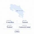Roberto Mata speciality coffee origin: Tarrazú, Costa Rica, washed Caturra and Catuai, 1,700 m
