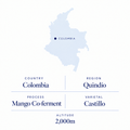 Jairo Arcila speciality coffee origin: Quindío, Colombia, mango co-ferment Castillo, 2,000 m