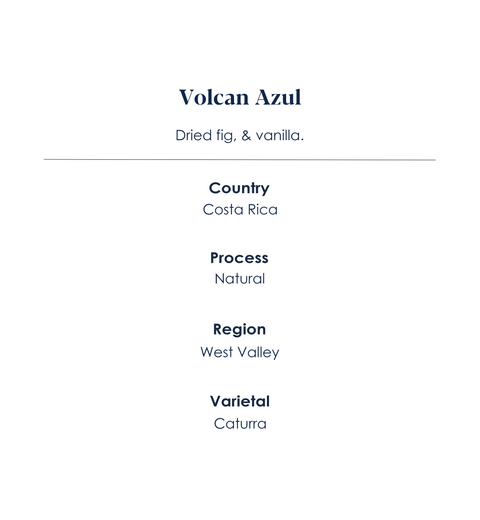 volcan-azul-speciality-coffee-features