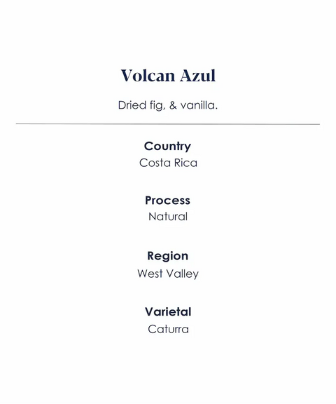 volcan-azul-speciality-coffee-features